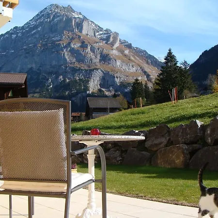 Appartement Chalet Hinkelstein Grindelwald